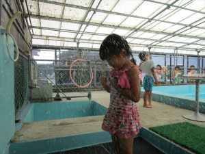 Highslide JS