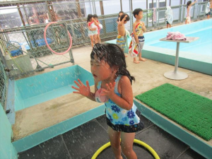 Highslide JS