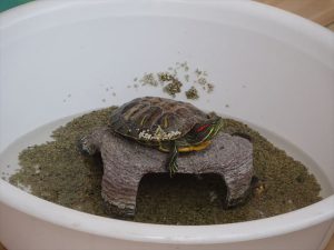 クリックで拡大表示 Highslide JS
