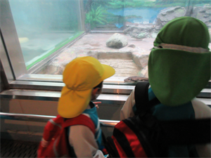 クリックで拡大表示 Highslide JS