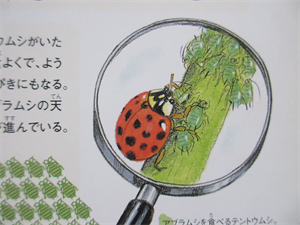 クリックで拡大表示 Highslide JS