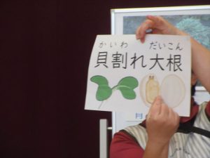 クリックで拡大表示 Highslide JS