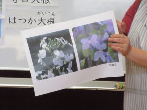 クリックで拡大表示 Highslide JS