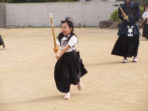 Highslide JS