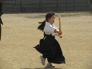 Highslide JS