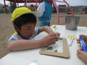 Highslide JS
