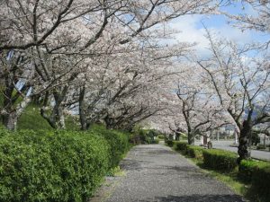 クリックで拡大表示 Highslide JS