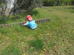 Highslide JS
