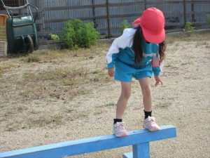 Highslide JS