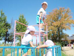 Highslide JS