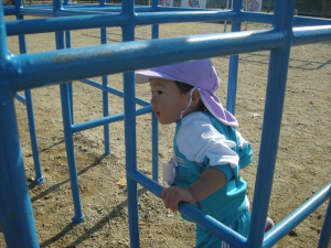 Highslide JS