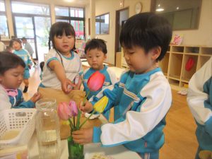 Highslide JS