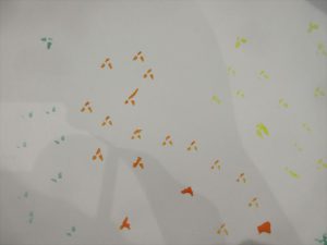 Highslide JS