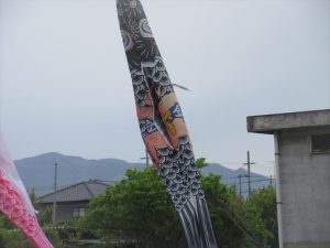 Highslide JS