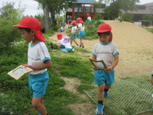 Highslide JS