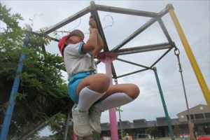 Highslide JS