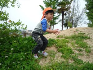 Highslide JS