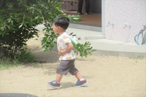 Highslide JS