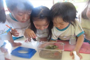 クリックで拡大表示 Highslide JS
