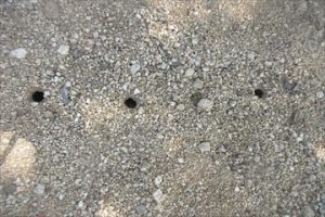 クリックで拡大表示 Highslide JS